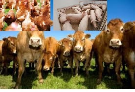 LIVESTOCK FARMING - FREE BUSINESS PLAN TEMPLATE