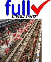 POULTRY FARMING BUSINESS: FREE BUSINESS PLAN TEMPLATE
