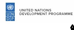 Fresh Graduate Programme Assistant @ United Nations Development Programme