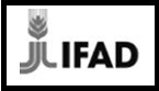 International Fund for Agricultural Development (IFAD) Fresh Recruitment 2017