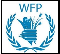Security Associate G6 Maiduguri Borno (72715) @ UN World Food Programme (WFP)