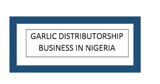 How to join Garlic Distributorship Business in Nigeria