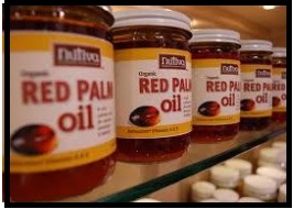 GET A PALM RED OIL, KERNEL OIL PROCESSING BUSINESS PLAN HERE /BUSINESS PLAN & FEASIBILITY STUDY FOR PALM RED OIL AND KERNEL OIL