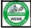 2018 Widows and Orphans Empowerment Organisation (WEWE) Recruitment/Quality Improvement Director @  WEWE Port Harcourt, Rivers.