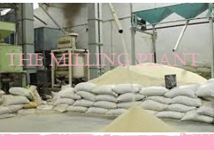 Business plan for rice mill Processing Business in Nigeria/Rice Mill Processing Business Business Plan with Feasibility studies