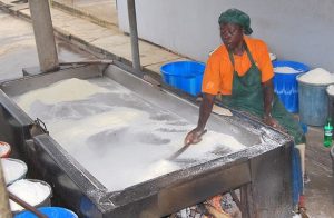 Cassava Mill Processing Business Business Plan Template