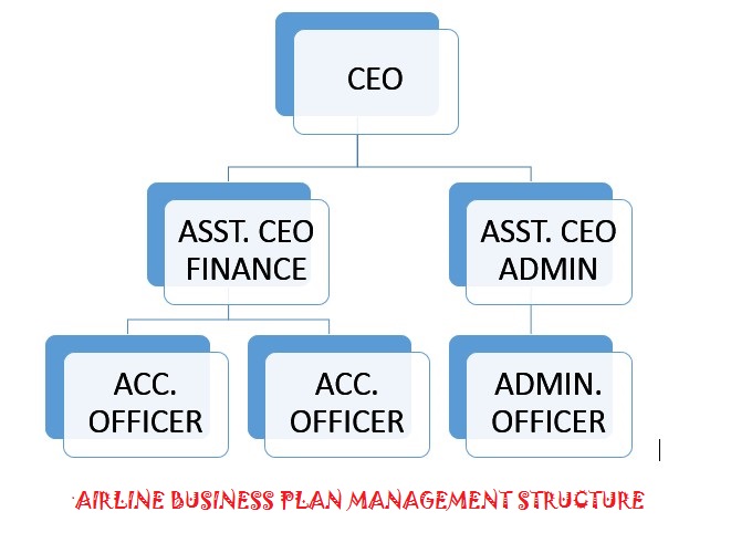 Authentic Organogram for Airline Business plan in Nigeria  