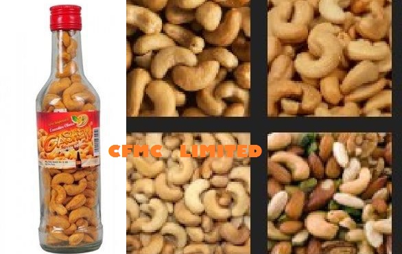 Simple Cashew Nut Processing & Marketing Business Plan 