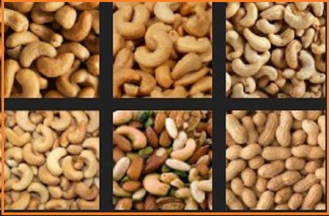 Cashew Nut Marketing Business Plan Analysis
