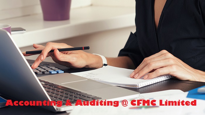 Importance of Auditing system for Your Company