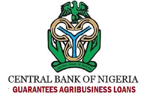 How You May Win CBN Agribusiness Loan 2019  