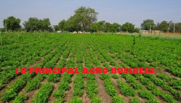 18 Principal Profitable Small-Scale Agriculture Business Ideas for Nigerians  