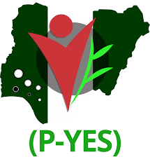 A Winning Business Plan for P-YES Grants 