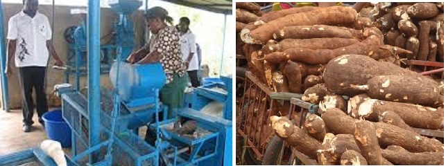 Cassava Processing Business In Nigeria/How to Start Cassava Processing Business