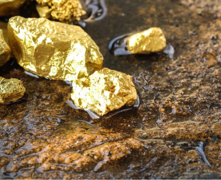 Simplified Gold Mining Business Plan