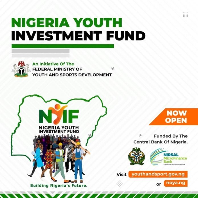 Approved Business Plan Template for Nigeria Youth Investment Fund - NYIF