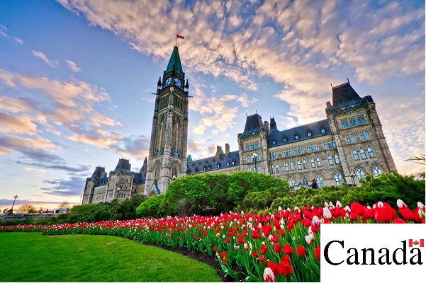 Do You Need Canadian Government Scholarship Sponsorship?