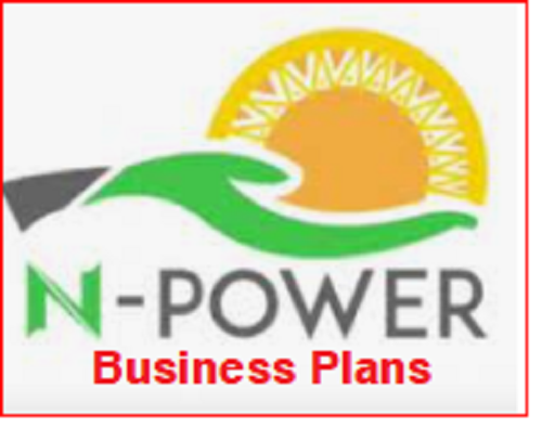 How to write N-Power Business Plan for Rice Mill