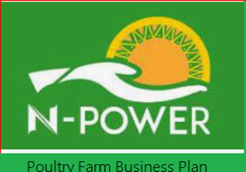 Apply for N-Power Loan Facilities: Get the  Approved Business Plan Templates Here