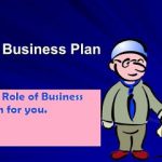 THE ROLES OF BUSINESS PLAN/STARTUP NEEDS