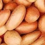 Bitter Kola And Your Health