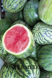 WATERMELON FARMING –  BUSINESS PLAN  AND FEASIBILITY STUDY  TEMPLATE