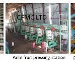 FEASIBILITY STUDY ON PALM OIL PRODUCTION IN NIGERIA