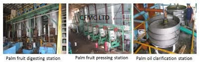 FEASIBILITY STUDY ON PALM OIL PRODUCTION IN NIGERIA