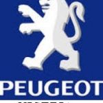 Peugeot Automobile Nigeria Limited (PAN) – Current Recruitment