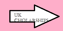 Read more about the article 7 Reasons Why Applicants Fail Commonwealth Split-Site (Phd) Scholarship Interview