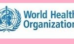 How to Apply for World Health Organization (WHO) Social Media Assistant