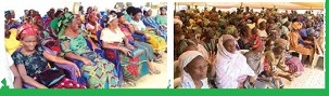 How To Apply For Free Government Money For Widows In Nigeria/Business Plan for Free Government Money For Widows In Nigeria