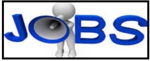 Read more about the article How to Apply for National Commission For Women Affairs Recruitment 2018/2019