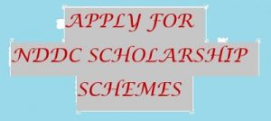 Read more about the article 2018 Niger Delta Development Commission (NDDC) Foreign Post Graduate Scholarship