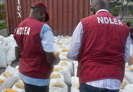 NARCOTIC OFFICER RECRUITMENT @ NDLEA NATIONWIDE