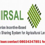 How to download NIRSAL Loan Financial Modelling