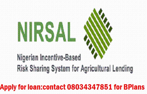 How to download NIRSAL Loan Financial Modelling