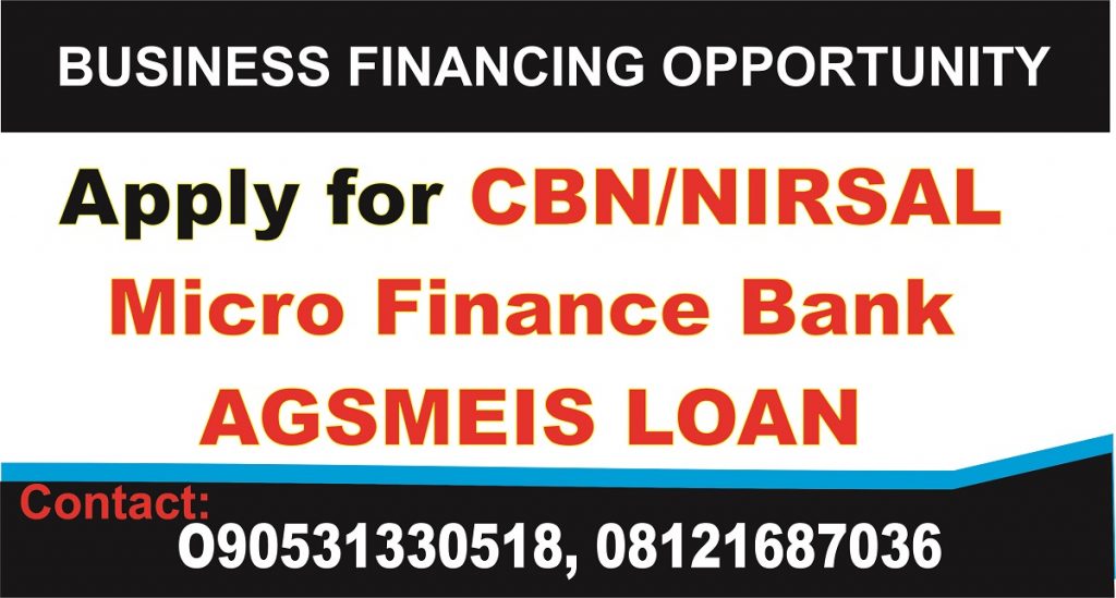 NIRSAL AGSMEIS Financial Model for Rice Mill Business Plan