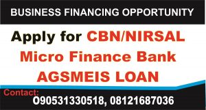 Read more about the article Business Plan Template for NIRSAL Bank Loan Agro Produce