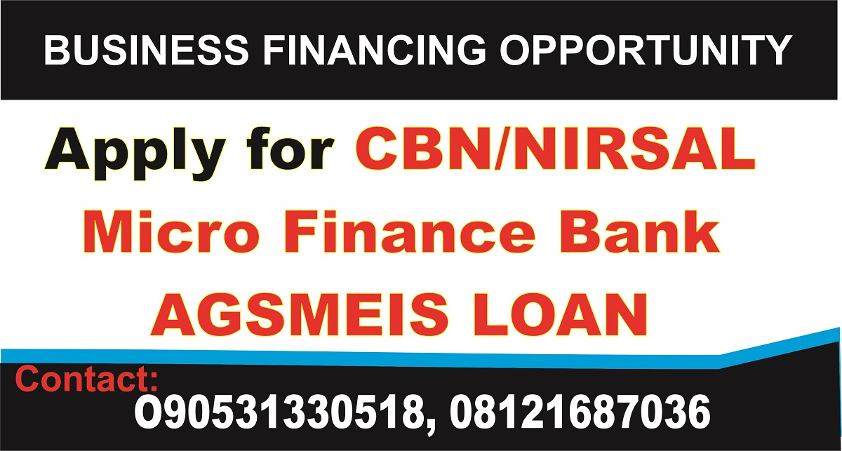 Business Plan Template for NIRSAL Bank Loan Agro Produce
