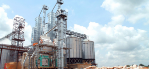 Read more about the article 5 tons per day Rice mill business plan for Nigerians