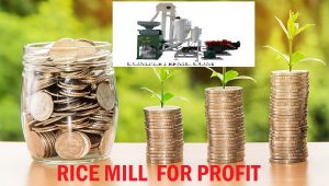 Read more about the article 10-Ton Rice Milling Plant for Profit with Sample Business Plan