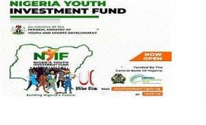 Read more about the article Sample Business plan Template for Nigerian Youth Investment Fund