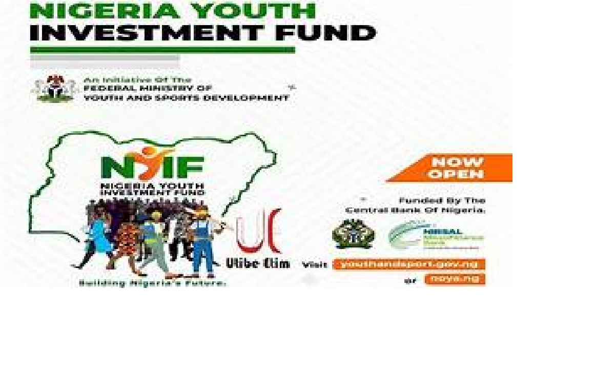 Sample Business plan Template for Nigerian Youth Investment Fund