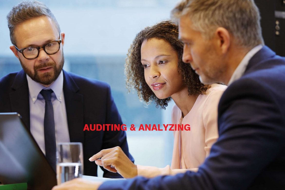 What are the Different types of audit?