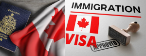 Read more about the article Cheap Immigration Visa to Canada: This is how to get it.