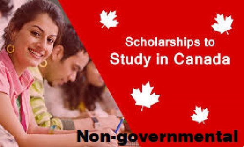 How Non-governmental scholarships Work in Canada: