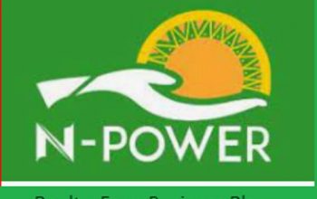 N-Power Poultry Farm Business Plan: How to Apply for N-Power Poultry Farm Loan in Nigeria