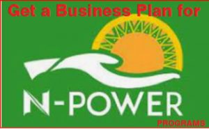 Read more about the article N-Power Program Flour Mill: This is the Business Plan