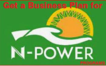 N-Power Program Flour Mill: This is the Business Plan